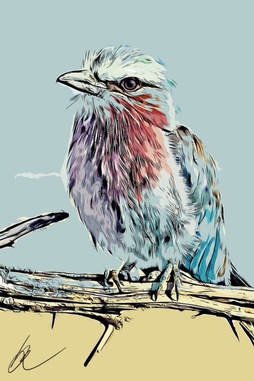 bird-02-b