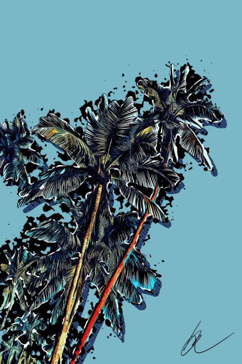 palms-1-b