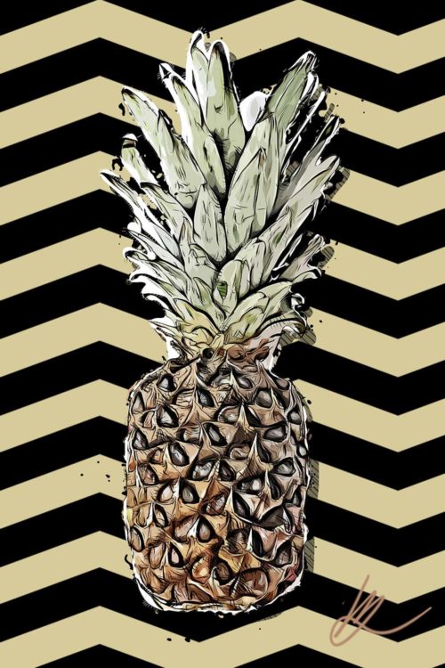 ananas-b