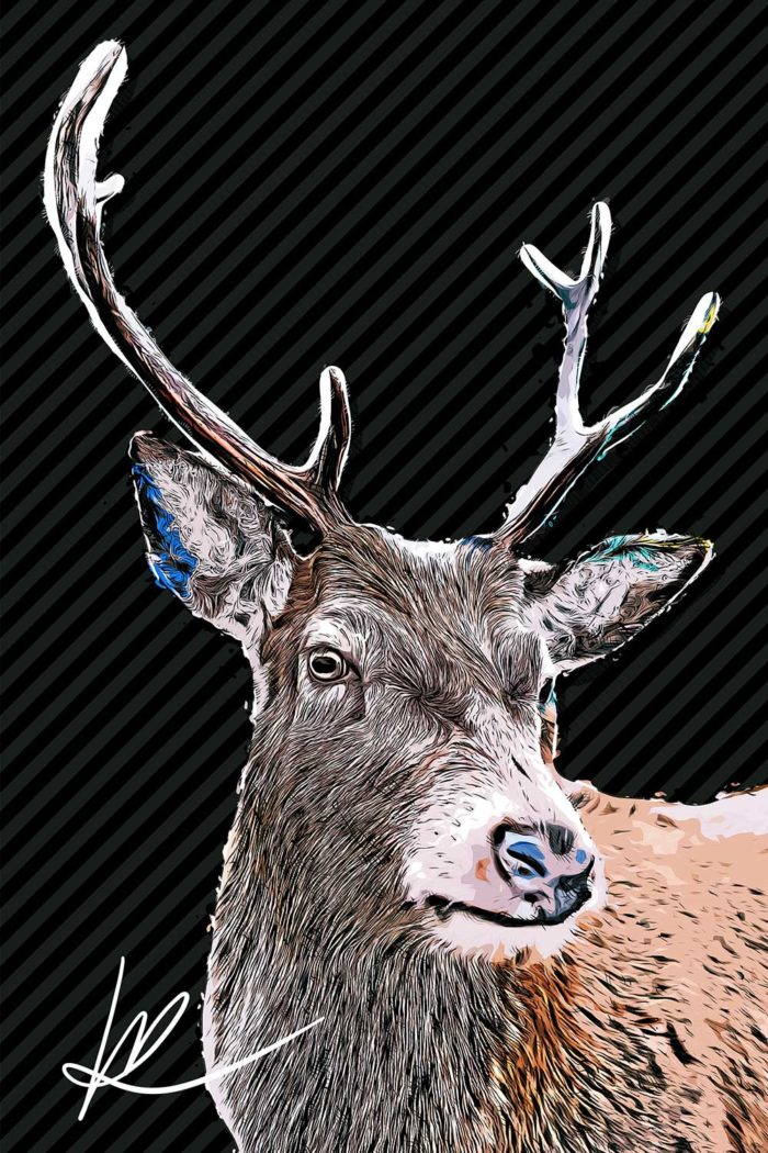 deer-1-b